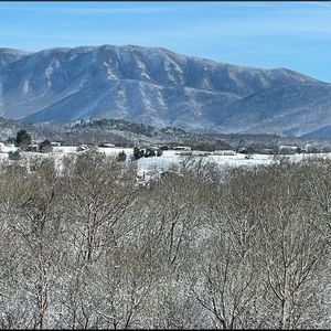 Meet your Posher, Suzannah